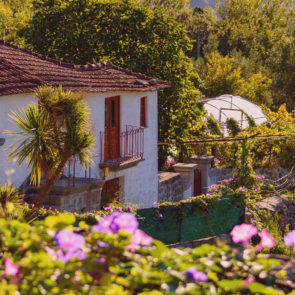 Low Density Areas in Portugal: Golden Visa Eligible Interior Areas