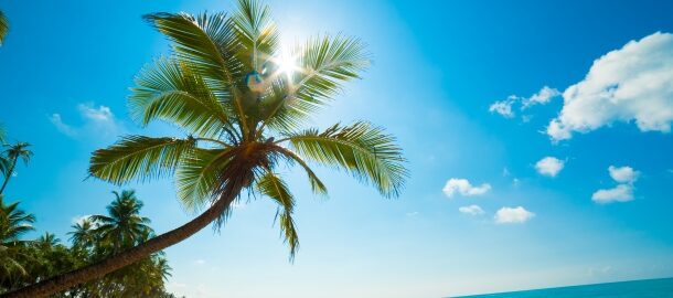 Barbados for Digital Nomads: Barbados Welcome Stamp