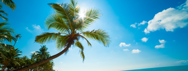 Living on an Island | A Guide for Digital Nomads | GoVisaFree - How To Live On An Island For Free