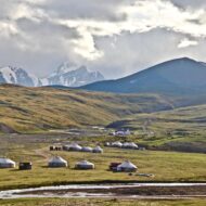 mongolia meadows