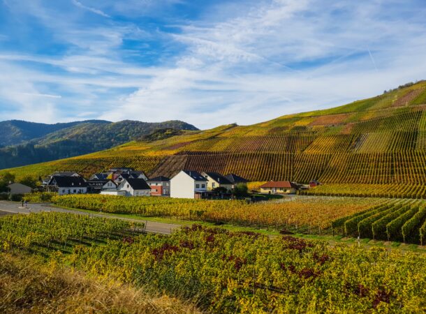 Living in the Countryside: A Charming Escape