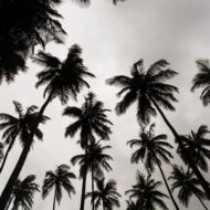 Liberia