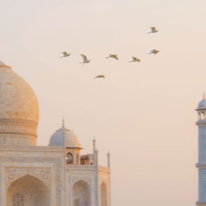 Muslim Population by Country in 2024