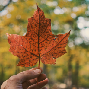 Living in Canada: The Definitive Guide