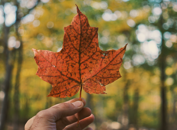 Living in Canada: The Definitive Guide