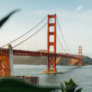 American expat stats