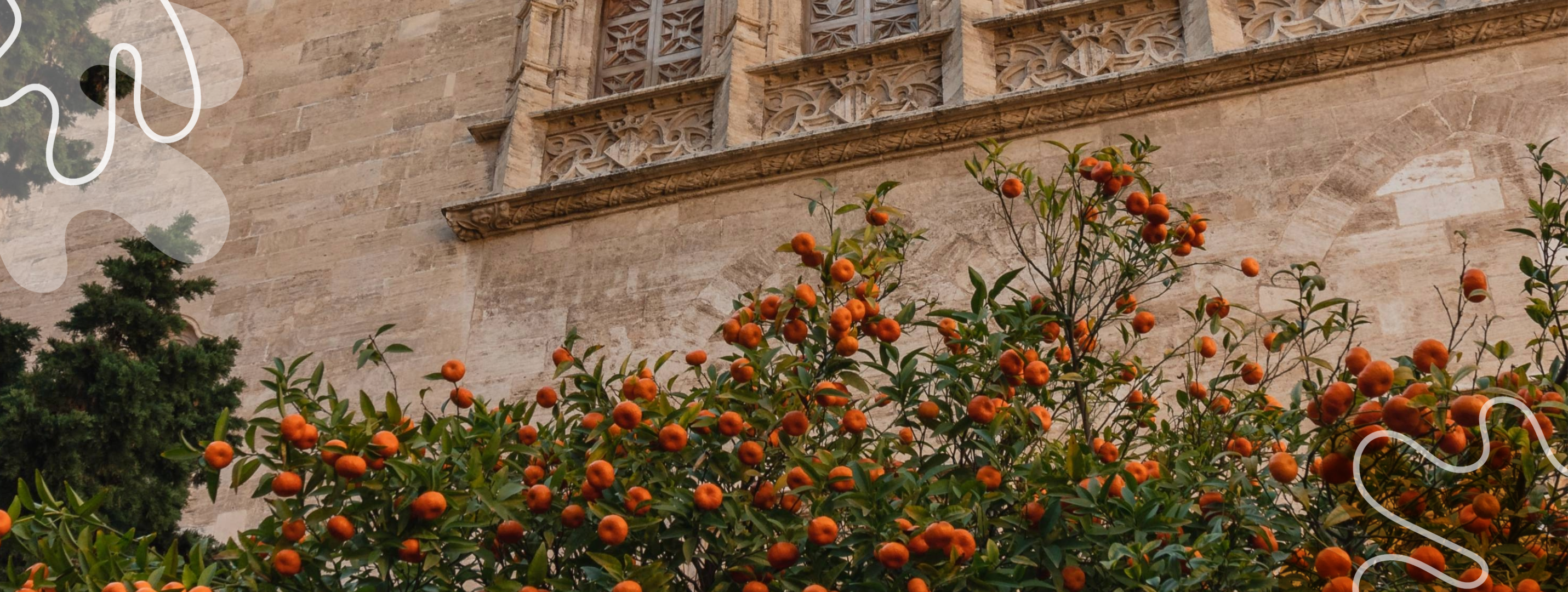 Moving to Valencia as an Expat