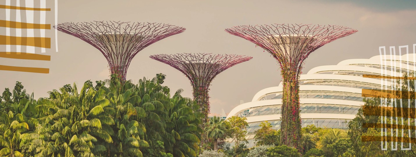 Cost of living in Singapore