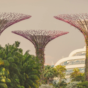 Cost of Living in Singapore