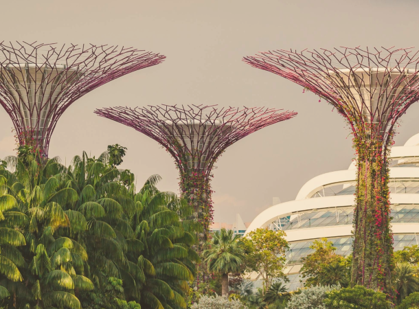 Cost of Living in Singapore