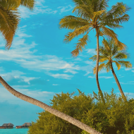 Digital Nomad Statistics Worldwide