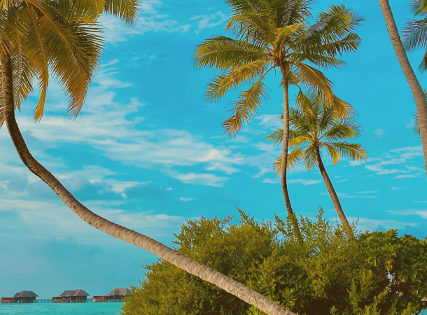 Digital Nomad Statistics