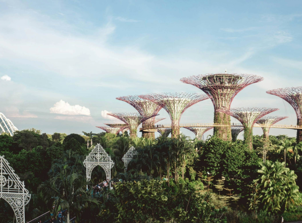 Living in Singapore: The Ultimate Guide