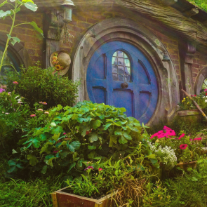 Moving to New Zealand: A Definitive Guide