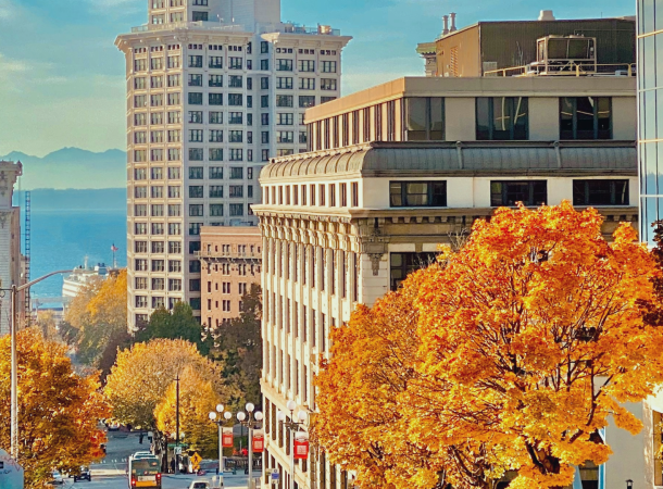 A Definitive Guide to Moving to Seattle in 2024